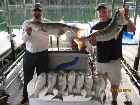 Nice Striped Bass